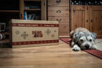 Adventní kalendář - Pivo Jinak