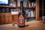 Pivo Zichovec IPA 15